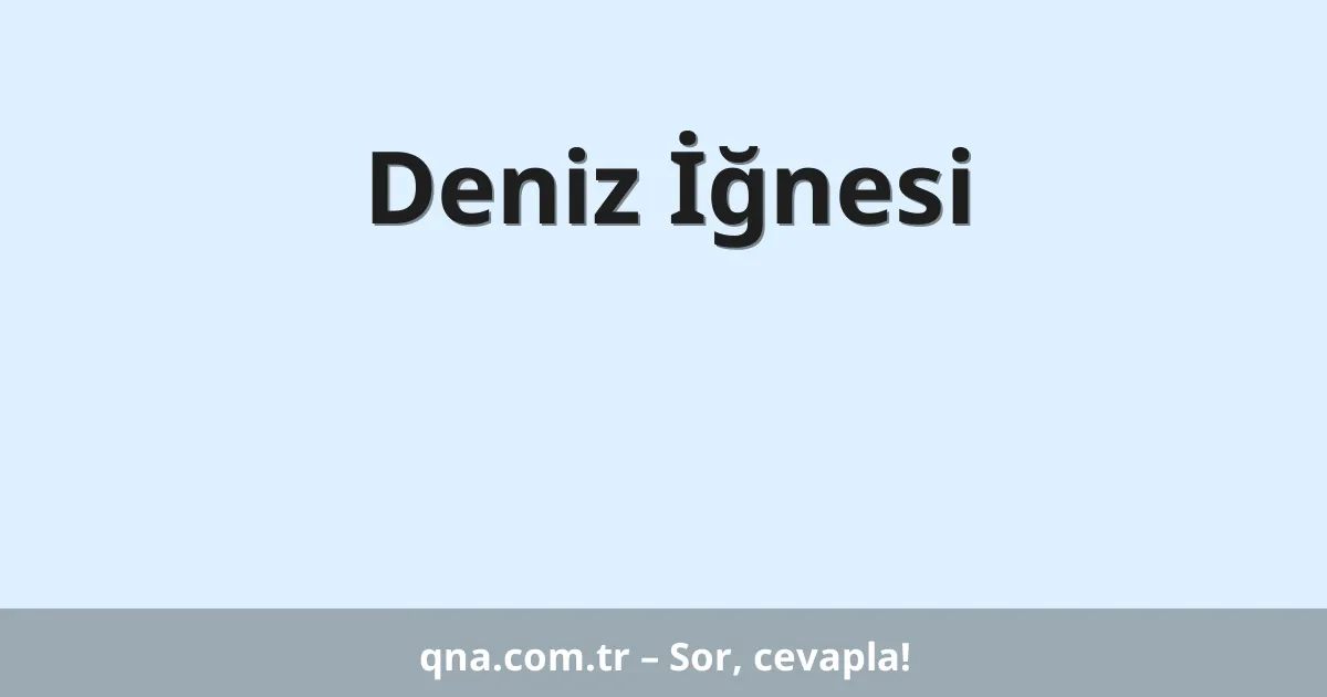 Deniz İğnesi