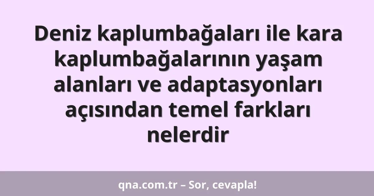Deniz kaplumbağaları ile kara kaplumbağalarının yaşam alanları ve adaptasyonları açısından temel farkları nelerdir