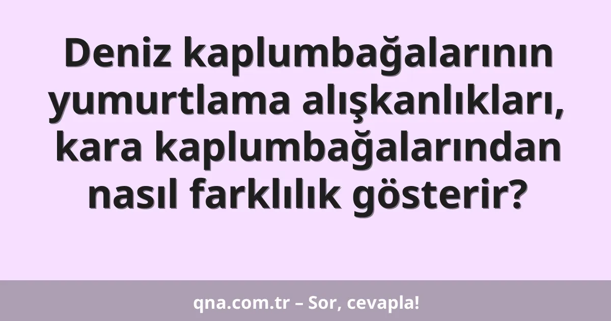 Deniz kaplumbağalarının yumurtlama alışkanlıkları, kara kaplumbağalarından nasıl farklılık gösterir?