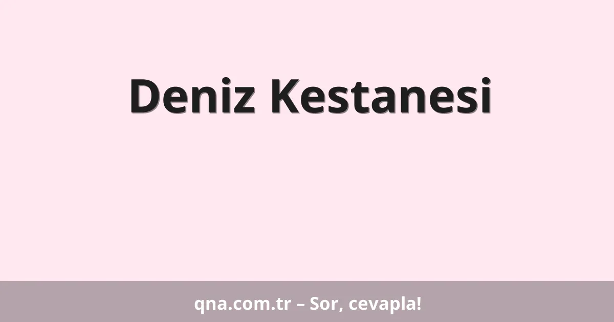 Deniz Kestanesi