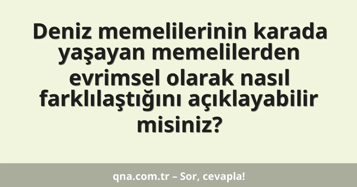 Deniz memelilerinin karada yaşayan memelilerden evrimsel olarak nasıl farklılaştığını açıklayabilir misiniz?
