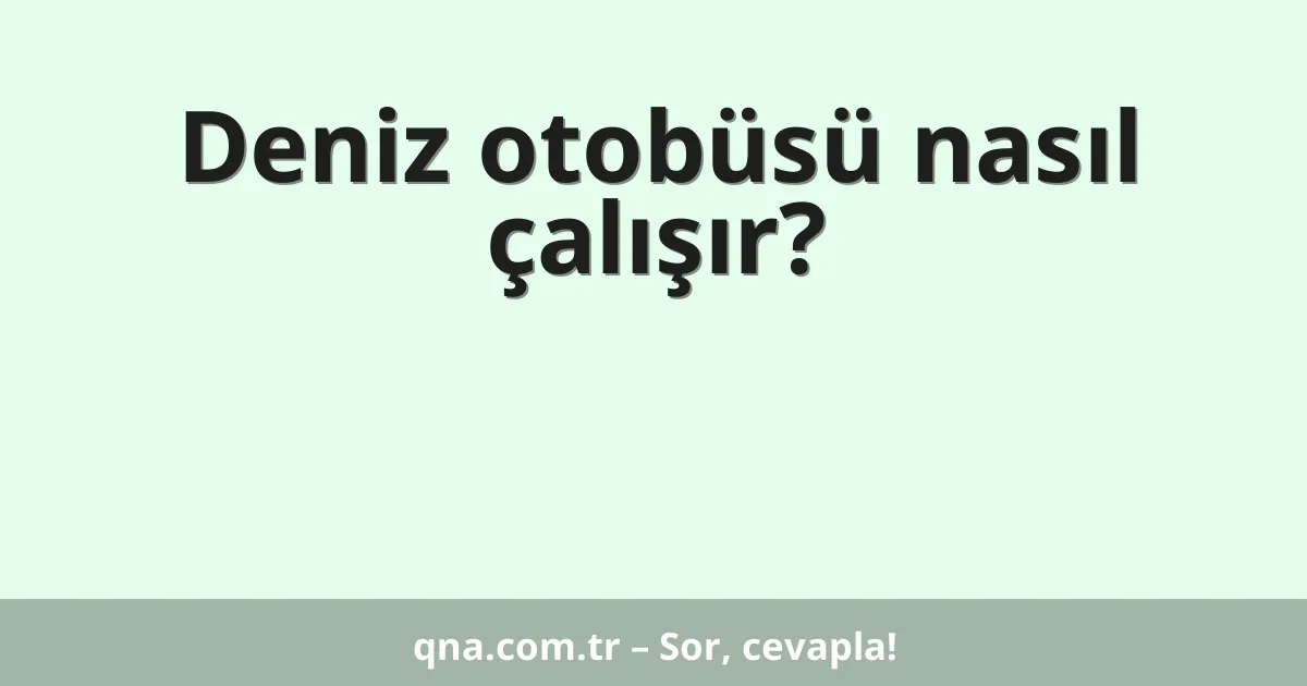 Deniz otobüsü nasıl çalışır?