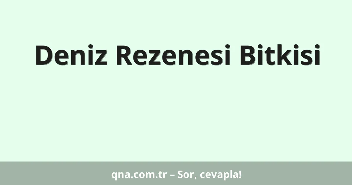 Deniz Rezenesi Bitkisi