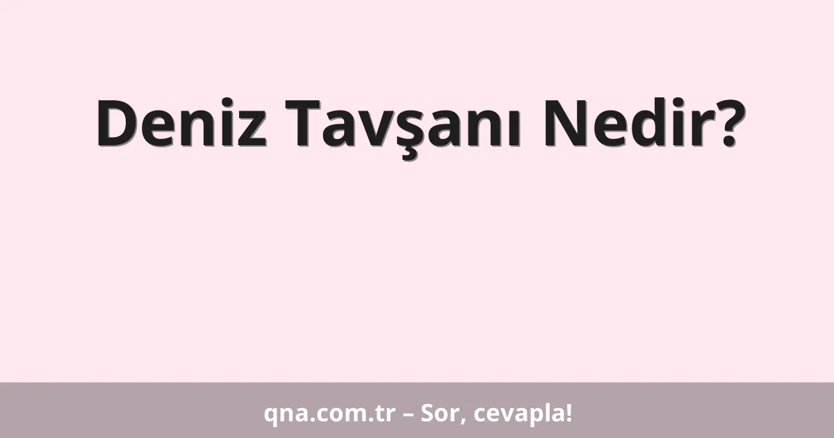Deniz Tavşanı Nedir?