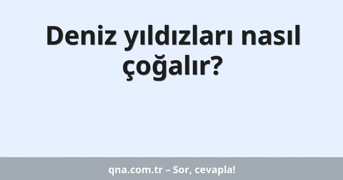 Deniz yıldızları nasıl çoğalır?
