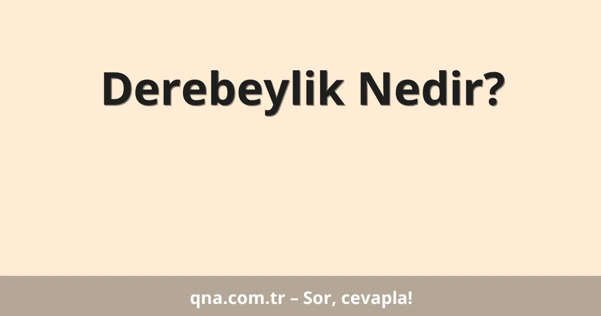 Derebeylik Nedir?