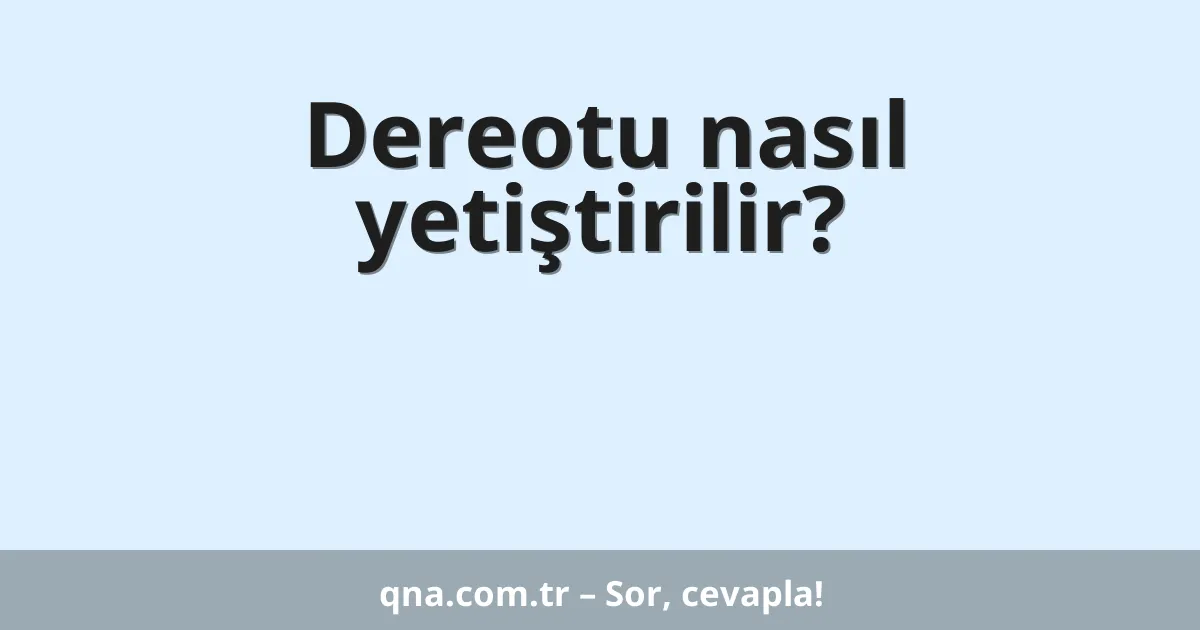 Dereotu nasıl yetiştirilir?