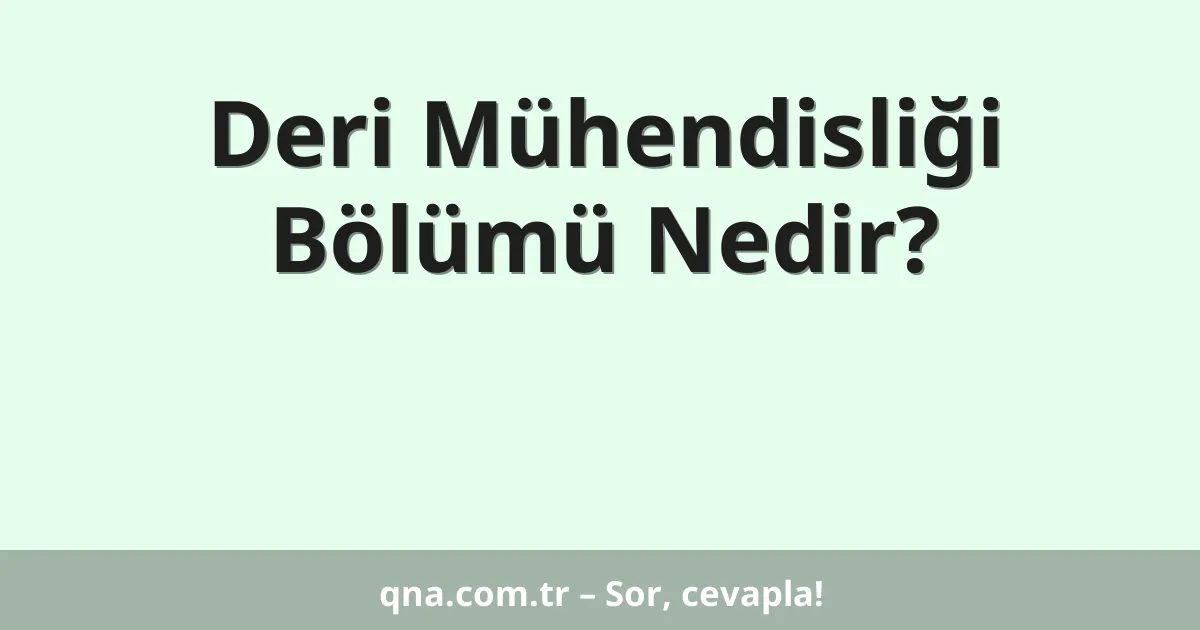 Deri Mühendisliği Bölümü Nedir?