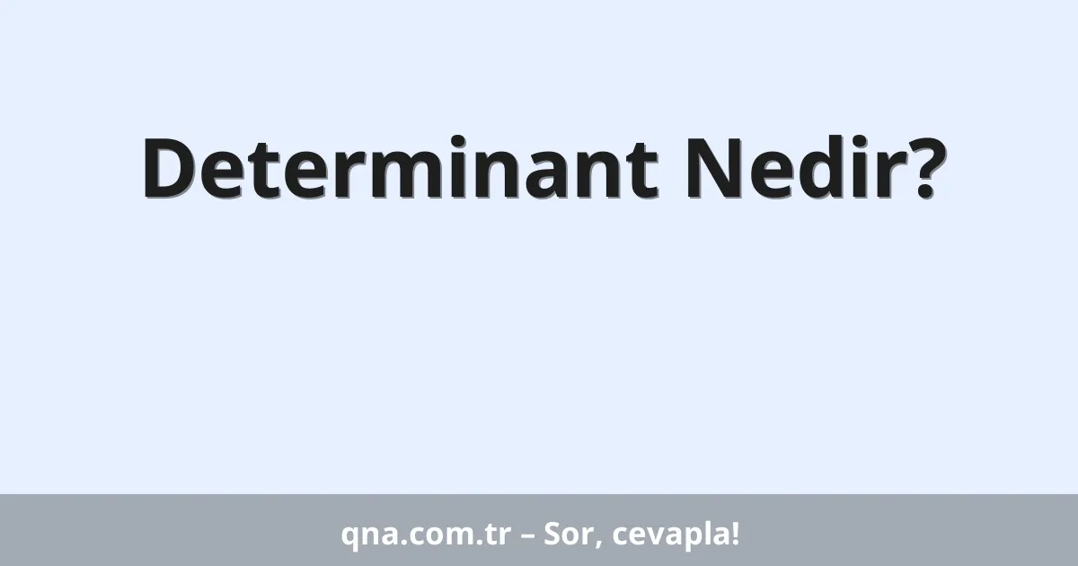 Determinant Nedir?