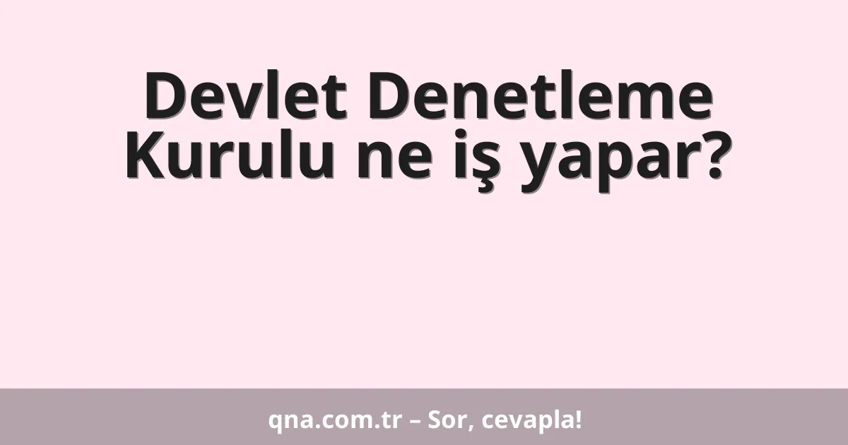 Devlet Denetleme Kurulu ne iş yapar?