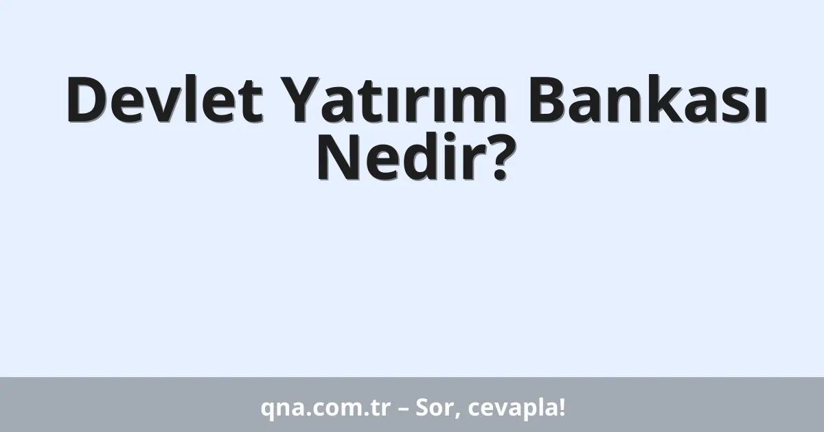 Devlet Yatırım Bankası Nedir?