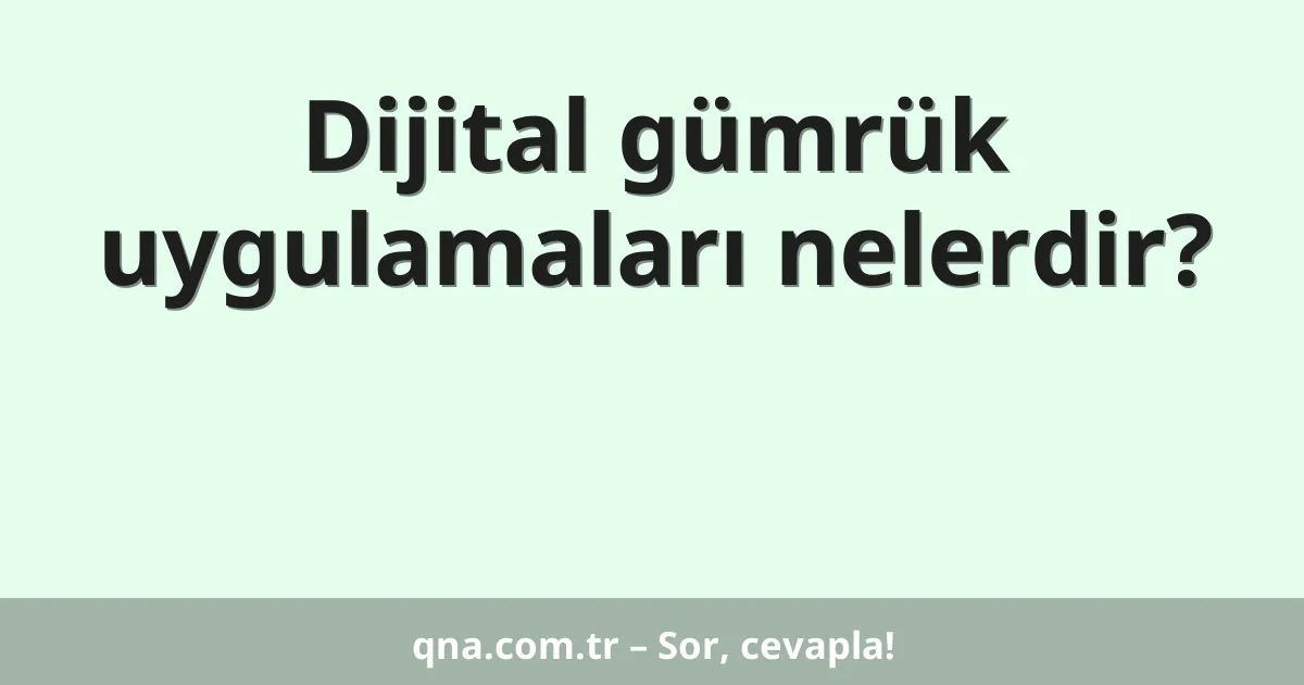 Dijital gümrük uygulamaları nelerdir?