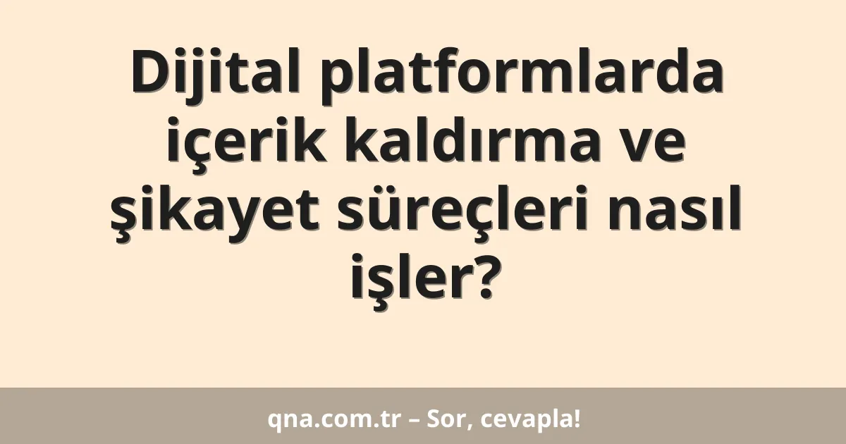 Dijital platformlarda içerik kaldırma ve şikayet süreçleri nasıl işler?