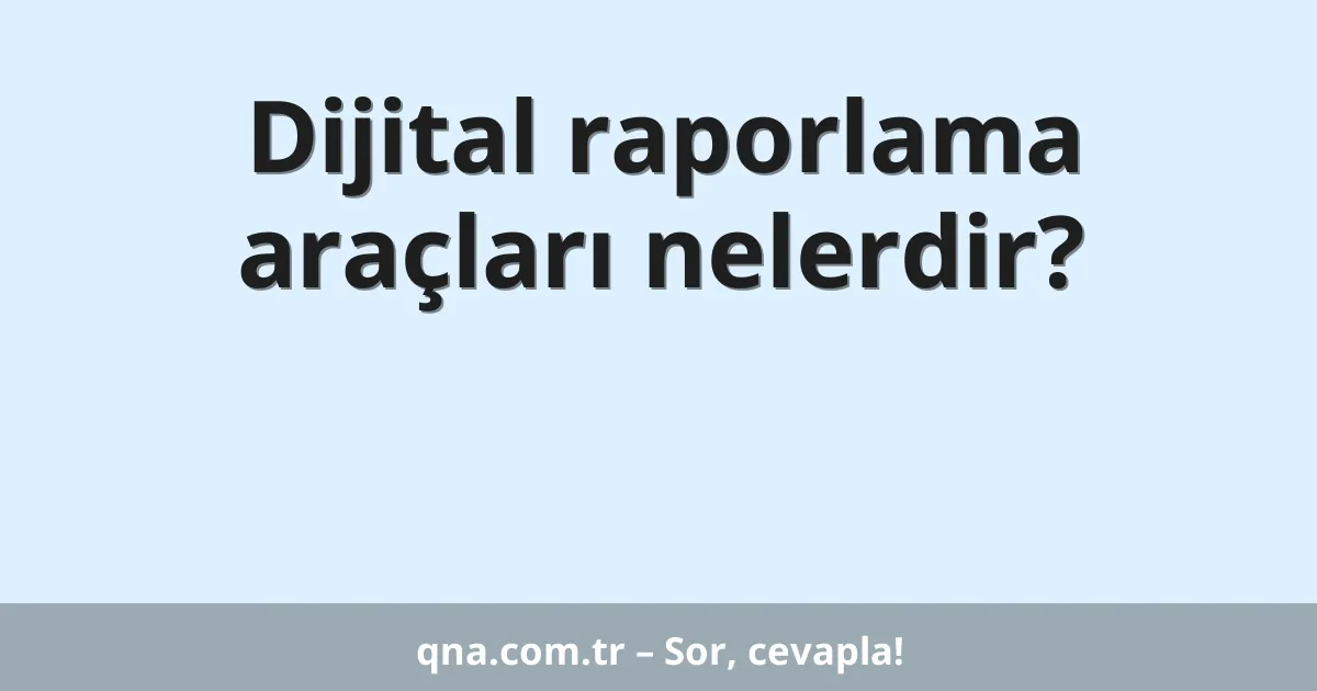 Dijital raporlama araçları nelerdir?