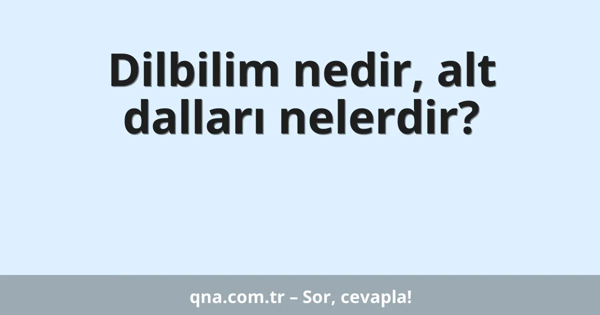 Dilbilim nedir, alt dalları nelerdir?