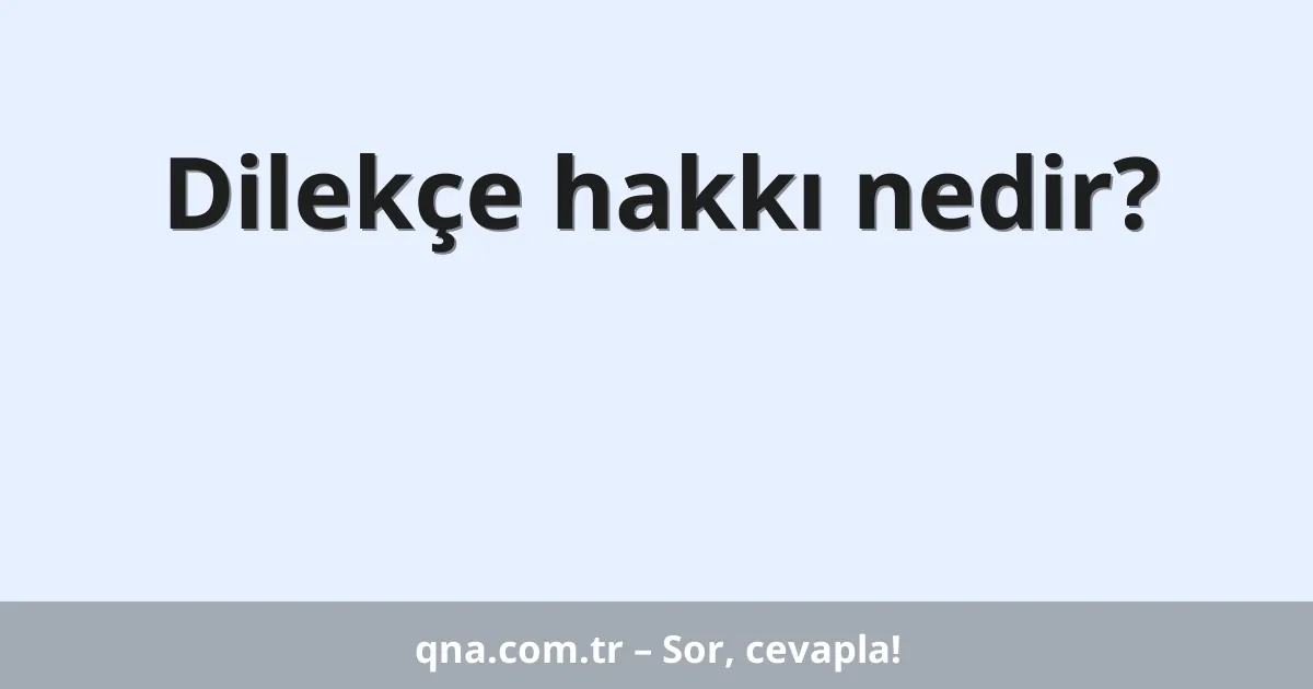 Dilekçe hakkı nedir?