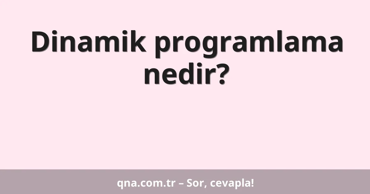 Dinamik programlama nedir?