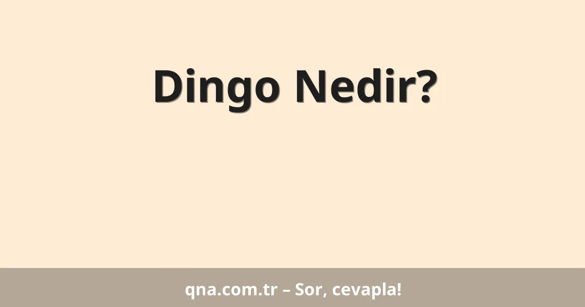 Dingo Nedir?
