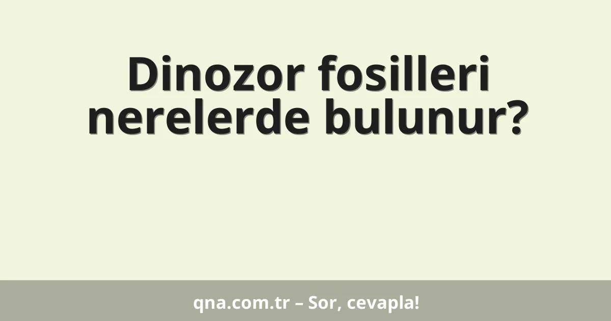 Dinozor fosilleri nerelerde bulunur?