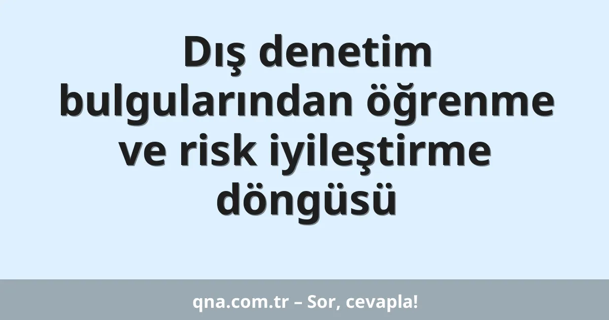 Dış denetim bulgularından öğrenme ve risk iyileştirme döngüsü