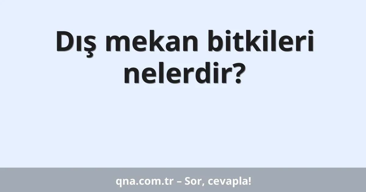 Dış mekan bitkileri nelerdir?