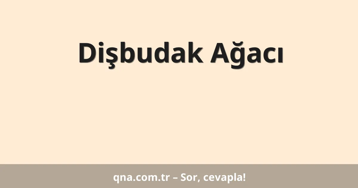 Dişbudak Ağacı
