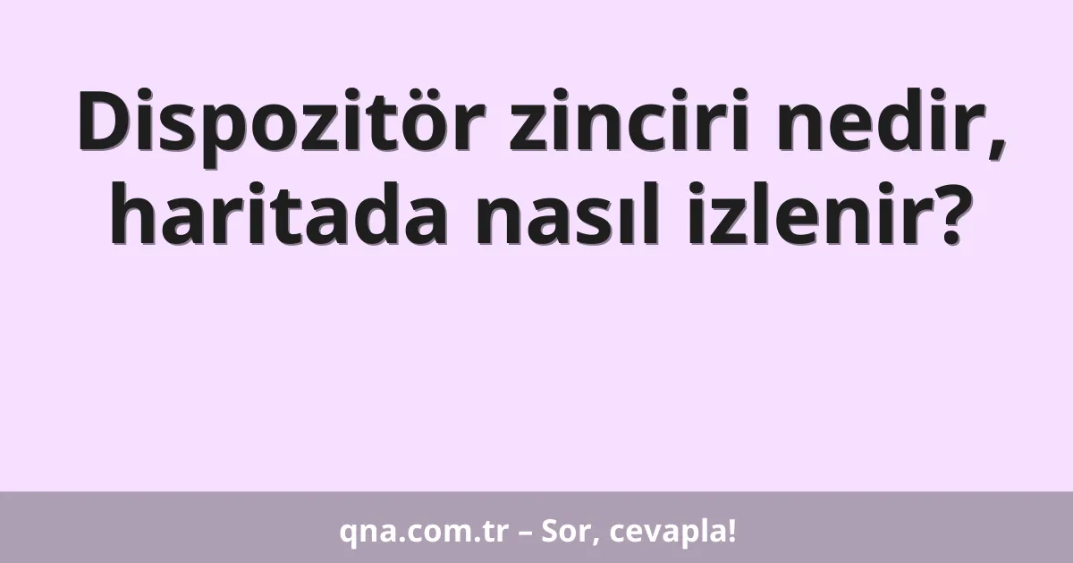 Dispozitör zinciri nedir, haritada nasıl izlenir?
