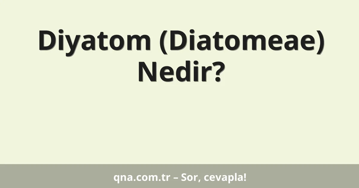 Diyatom (Diatomeae) Nedir?