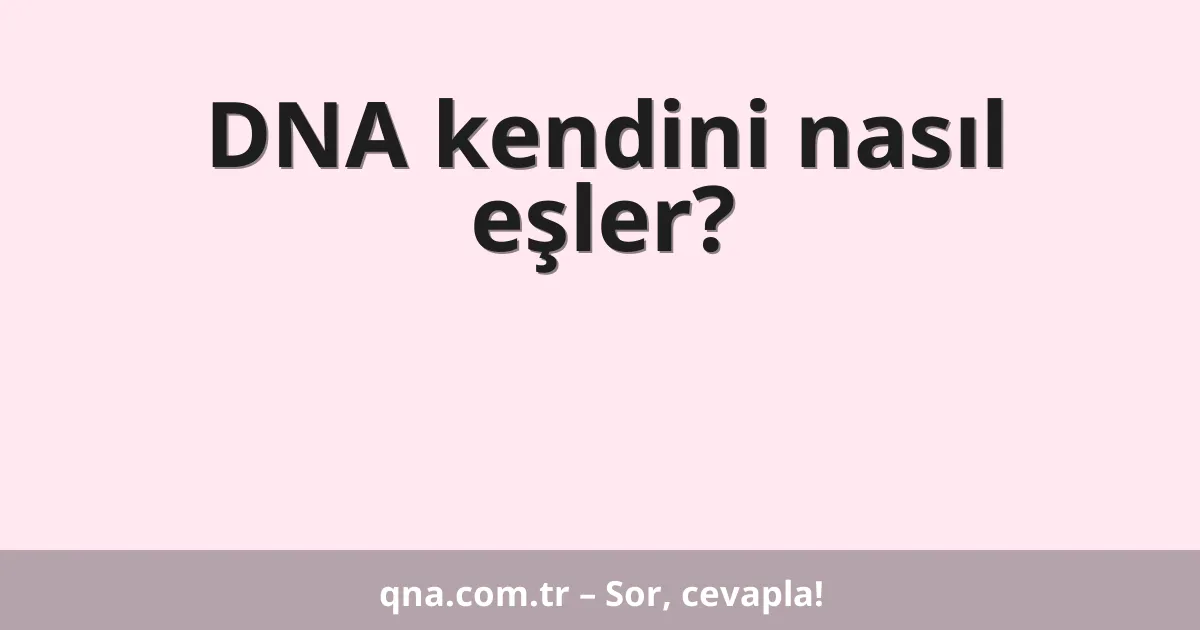 DNA kendini nasıl eşler?
