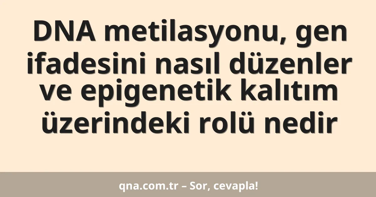 DNA metilasyonu, gen ifadesini nasıl düzenler ve epigenetik kalıtım üzerindeki rolü nedir