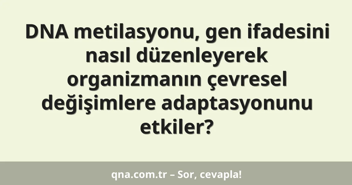 DNA metilasyonu, gen ifadesini nasıl düzenleyerek organizmanın çevresel değişimlere adaptasyonunu etkiler?