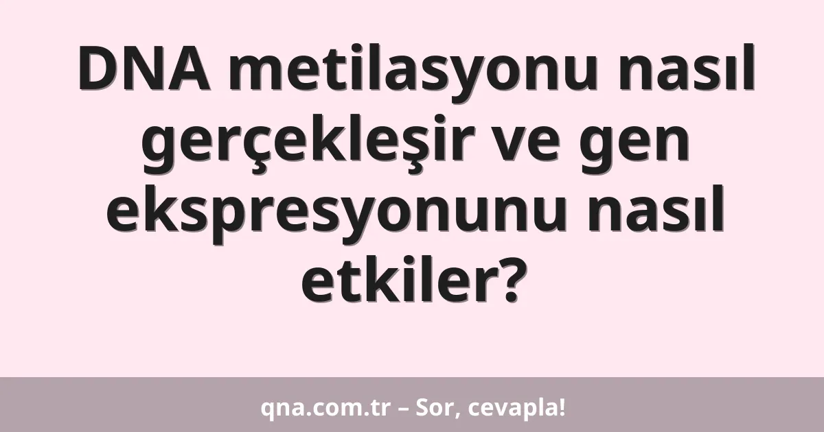 DNA metilasyonu nasıl gerçekleşir ve gen ekspresyonunu nasıl etkiler?