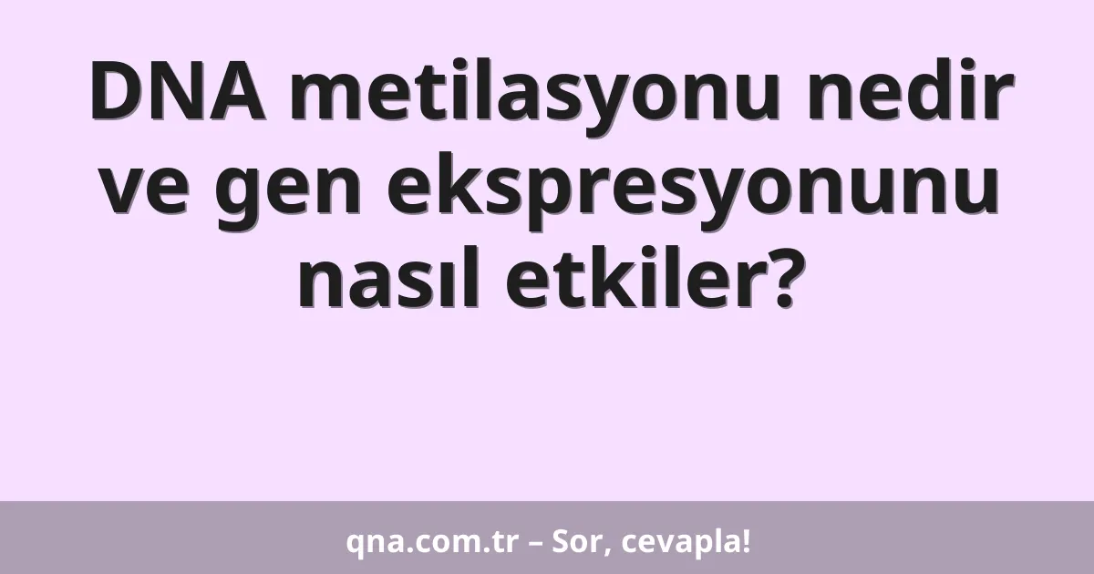 DNA metilasyonu nedir ve gen ekspresyonunu nasıl etkiler?