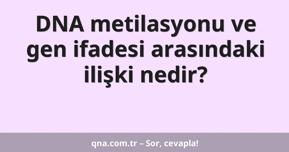 DNA metilasyonu ve gen ifadesi arasındaki ilişki nedir?