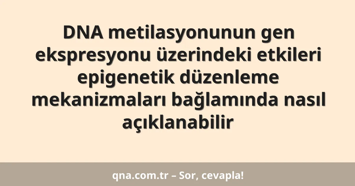 DNA metilasyonunun gen ekspresyonu üzerindeki etkileri epigenetik düzenleme mekanizmaları bağlamında nasıl açıklanabilir