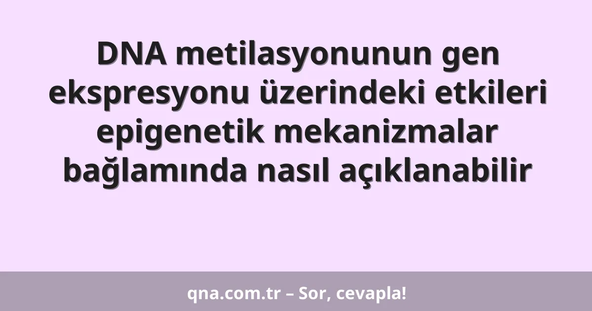 DNA metilasyonunun gen ekspresyonu üzerindeki etkileri epigenetik mekanizmalar bağlamında nasıl açıklanabilir