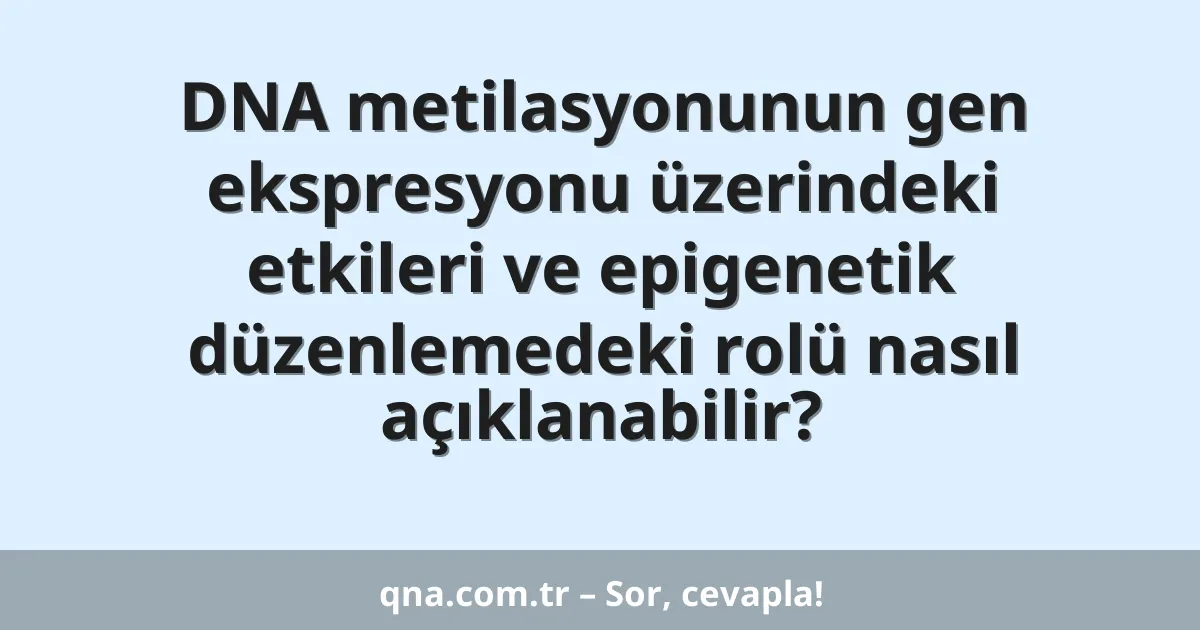 DNA metilasyonunun gen ekspresyonu üzerindeki etkileri ve epigenetik düzenlemedeki rolü nasıl açıklanabilir?