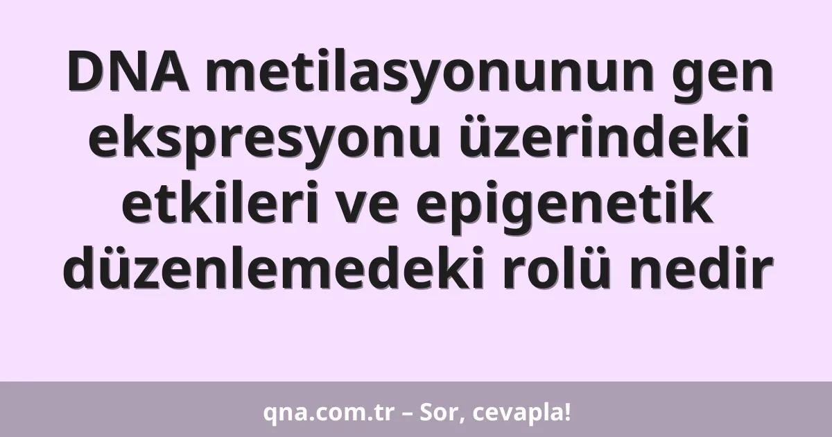 DNA metilasyonunun gen ekspresyonu üzerindeki etkileri ve epigenetik düzenlemedeki rolü nedir