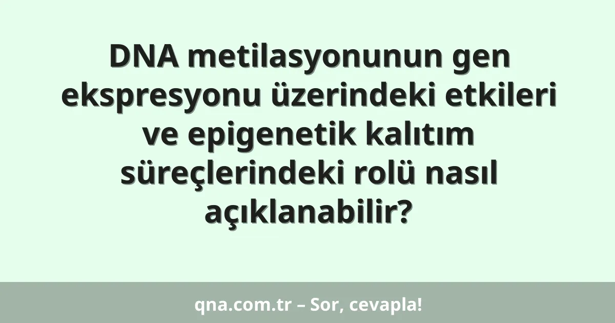DNA metilasyonunun gen ekspresyonu üzerindeki etkileri ve epigenetik kalıtım süreçlerindeki rolü nasıl açıklanabilir?