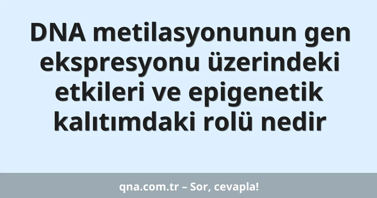 DNA metilasyonunun gen ekspresyonu üzerindeki etkileri ve epigenetik kalıtımdaki rolü nedir
