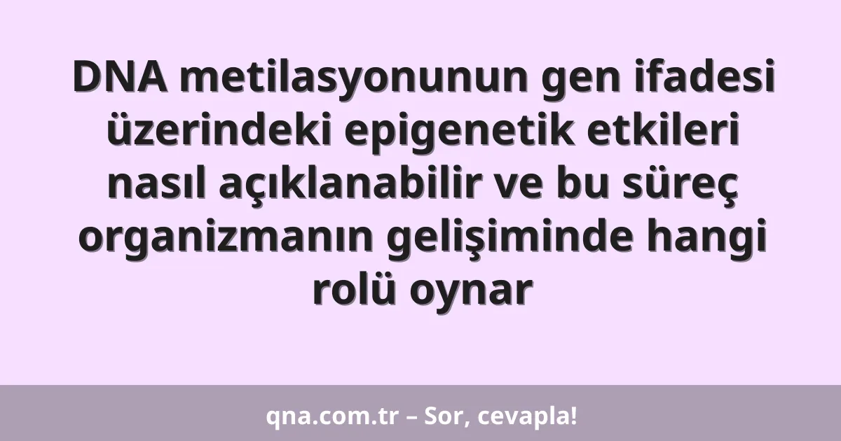 DNA metilasyonunun gen ifadesi üzerindeki epigenetik etkileri nasıl açıklanabilir ve bu süreç organizmanın gelişiminde hangi rolü oynar