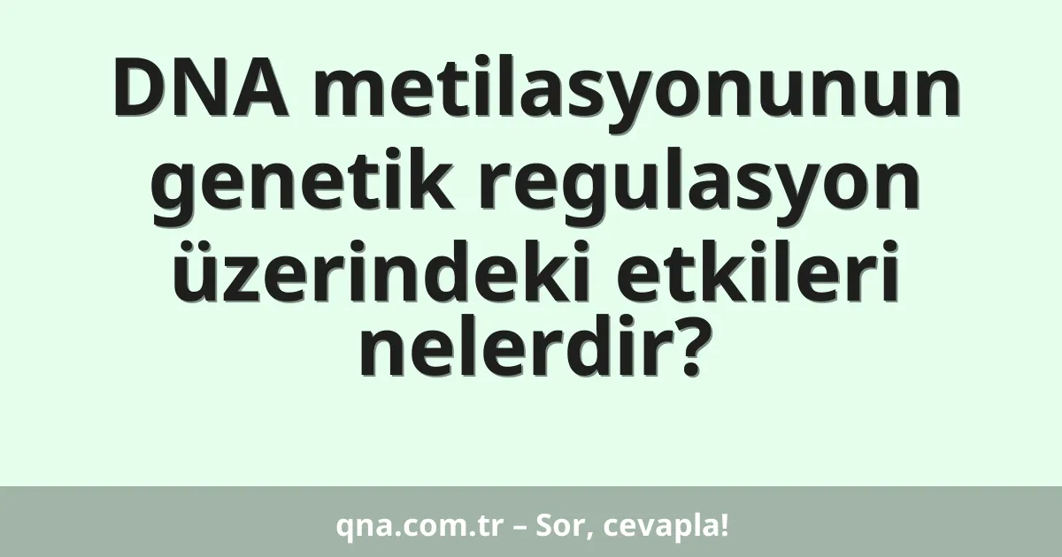 DNA metilasyonunun genetik regulasyon üzerindeki etkileri nelerdir?