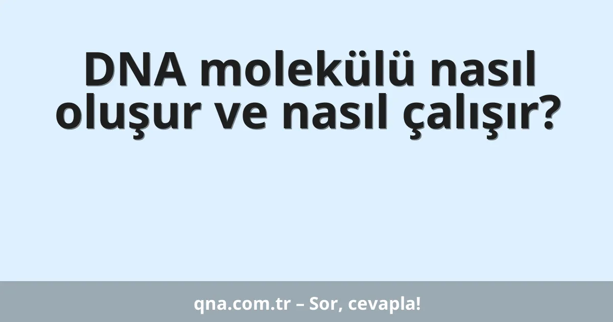 DNA molekülü nasıl oluşur ve nasıl çalışır?