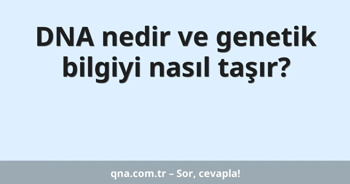 DNA nedir ve genetik bilgiyi nasıl taşır?