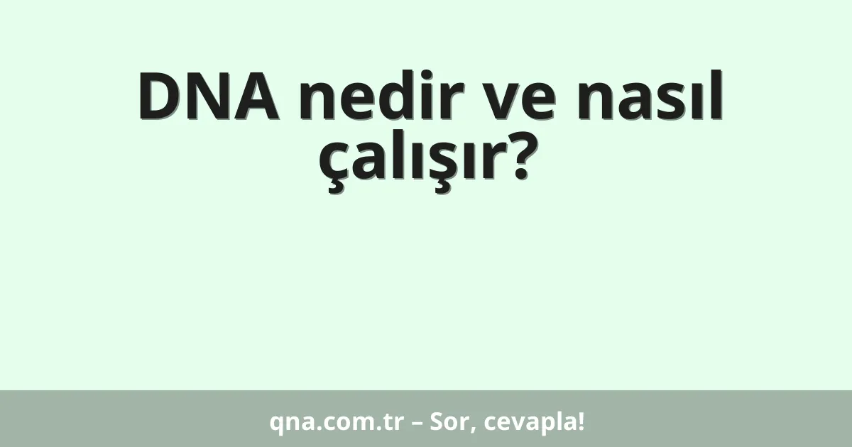 DNA nedir ve nasıl çalışır?