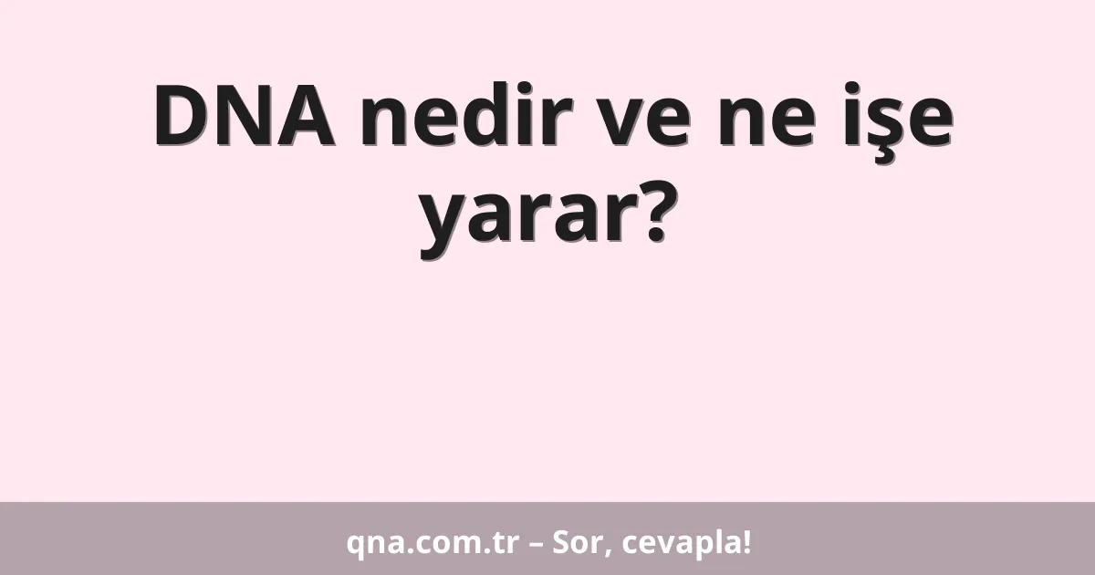 DNA nedir ve ne işe yarar?