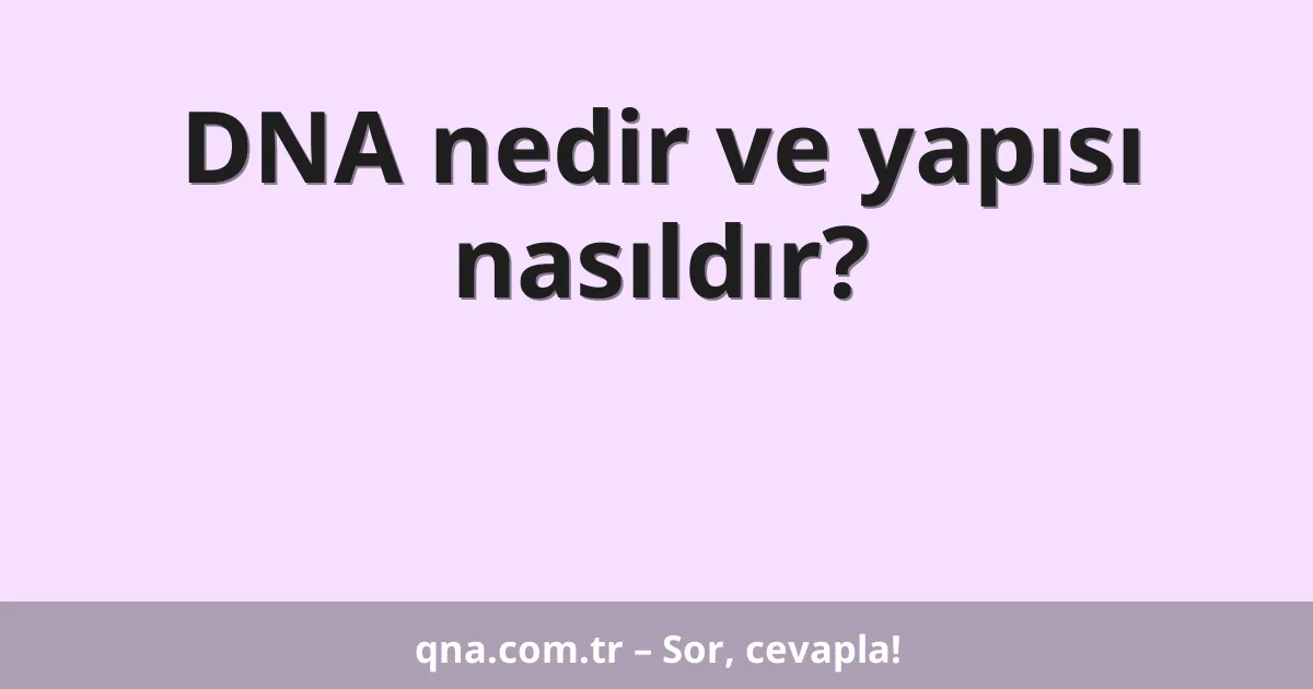 DNA nedir ve yapısı nasıldır?