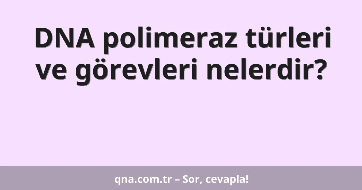 DNA polimeraz türleri ve görevleri nelerdir?