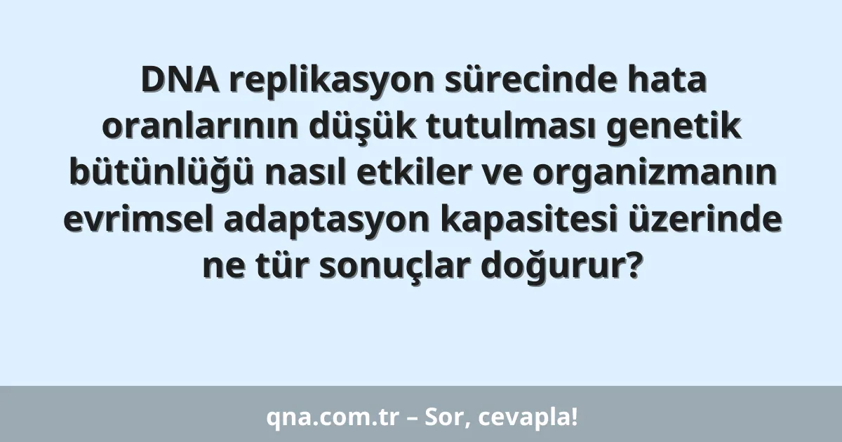 DNA replikasyon sürecinde hata oranlarının düşük tutulması genetik bütünlüğü nasıl etkiler ve organizmanın evrimsel adaptasyon kapasitesi üzerinde ne tür sonuçlar doğurur?