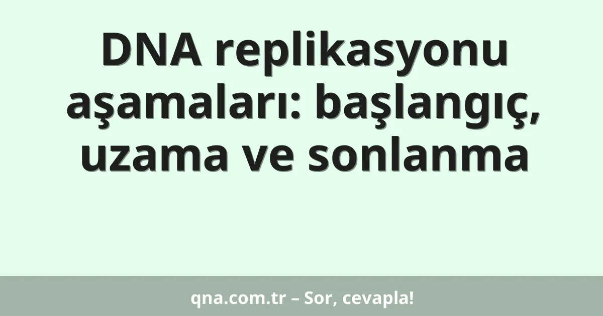 DNA replikasyonu aşamaları: başlangıç, uzama ve sonlanma